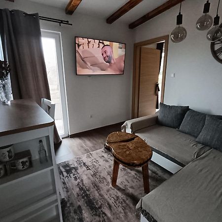 Cattleya Apartment Novigrad  Exterior photo