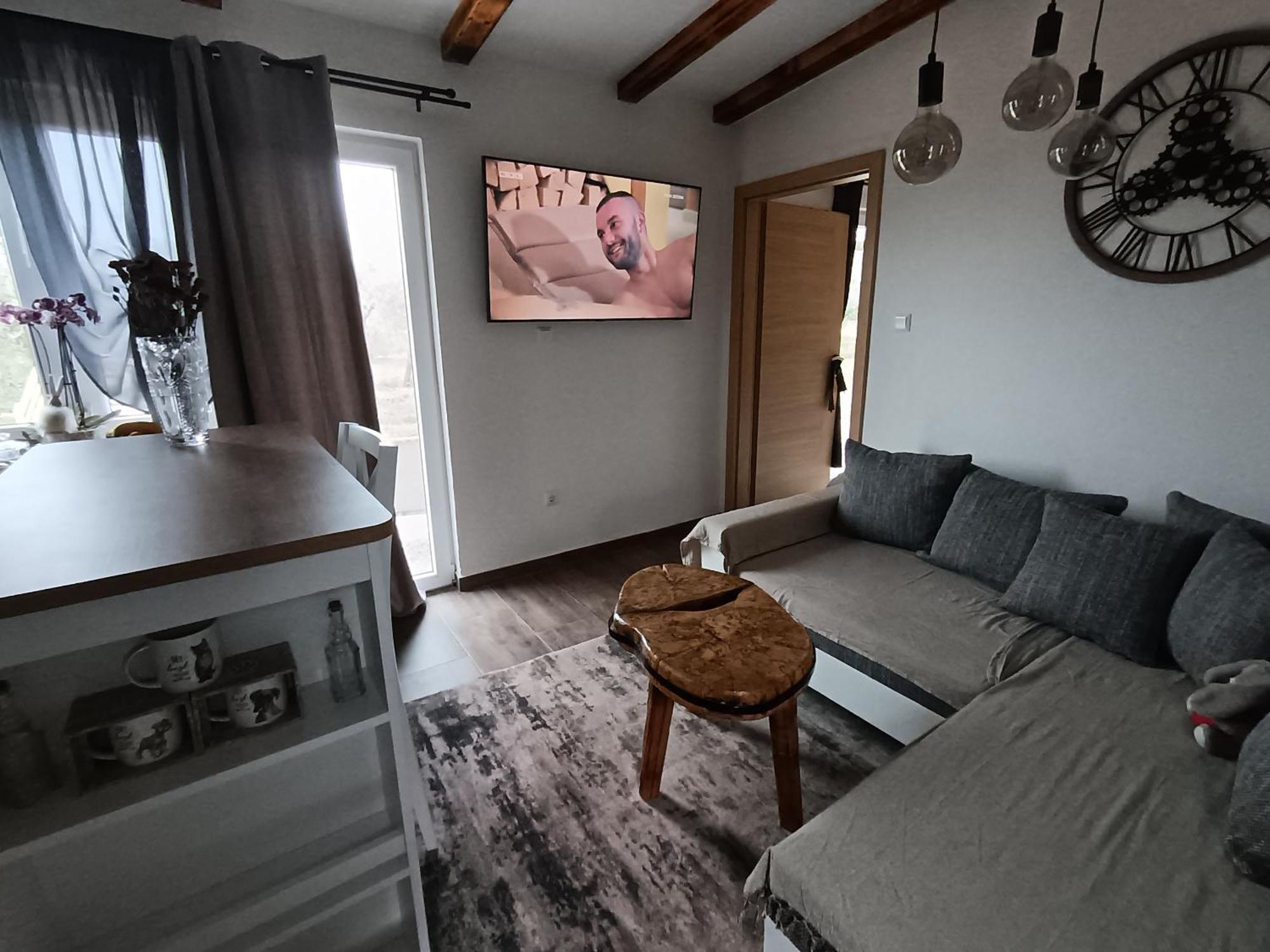 Cattleya Apartment Novigrad  Exterior photo