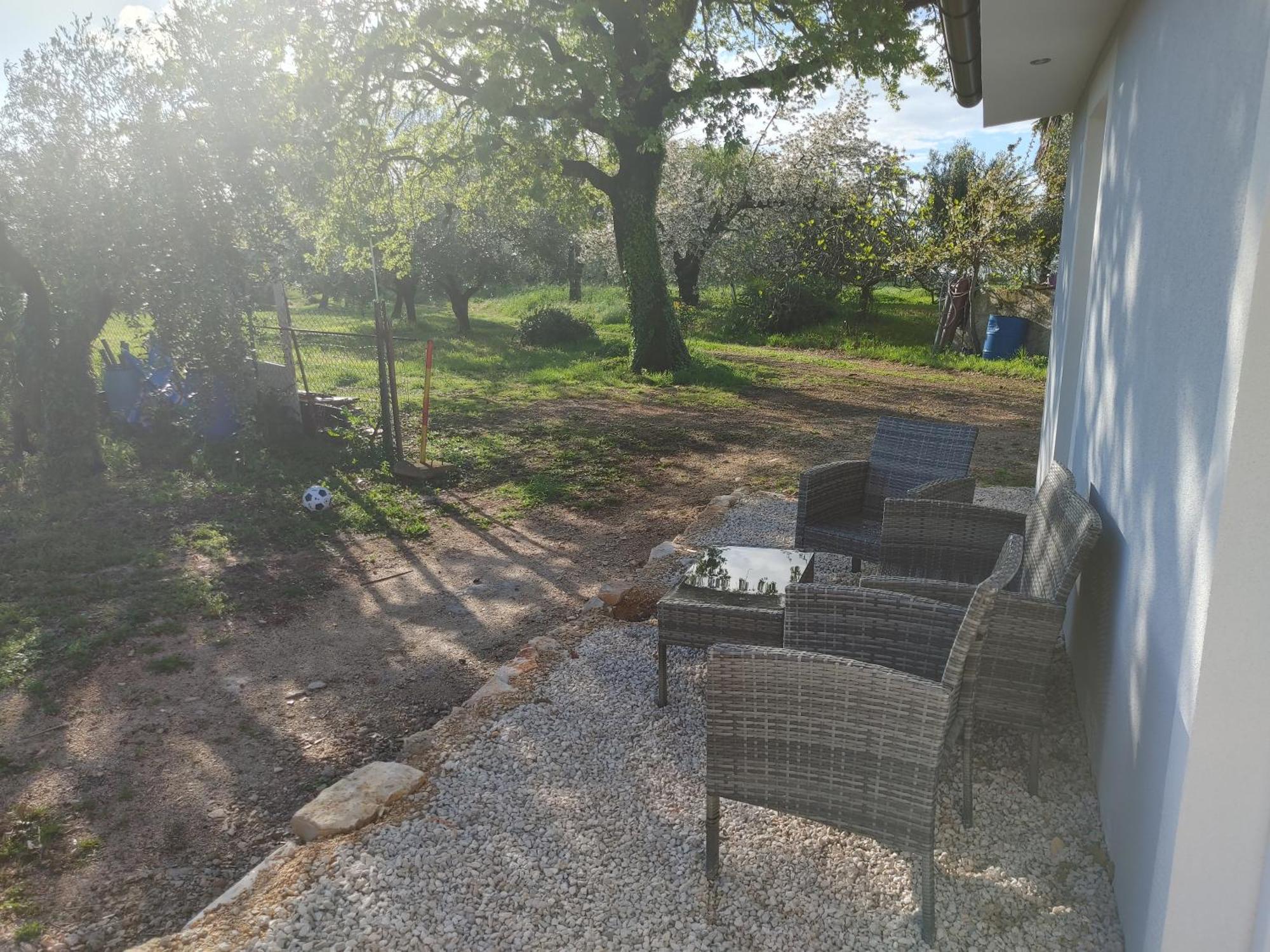 Cattleya Apartment Novigrad  Exterior photo